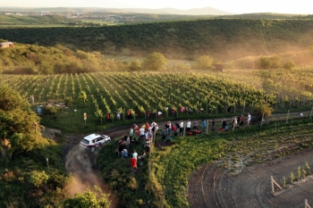 Agrotec Rally Hustopeče 2012 (Josef Petrů)