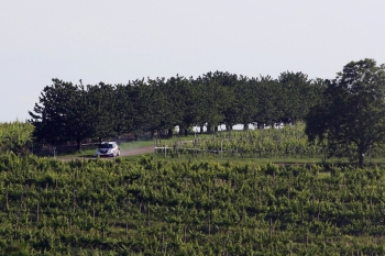 Agrotec Rally Hustopeče 2012 (Josef Petrů)