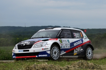 Agrotec Rally Hustopeče 2012 (Josef Petrů)